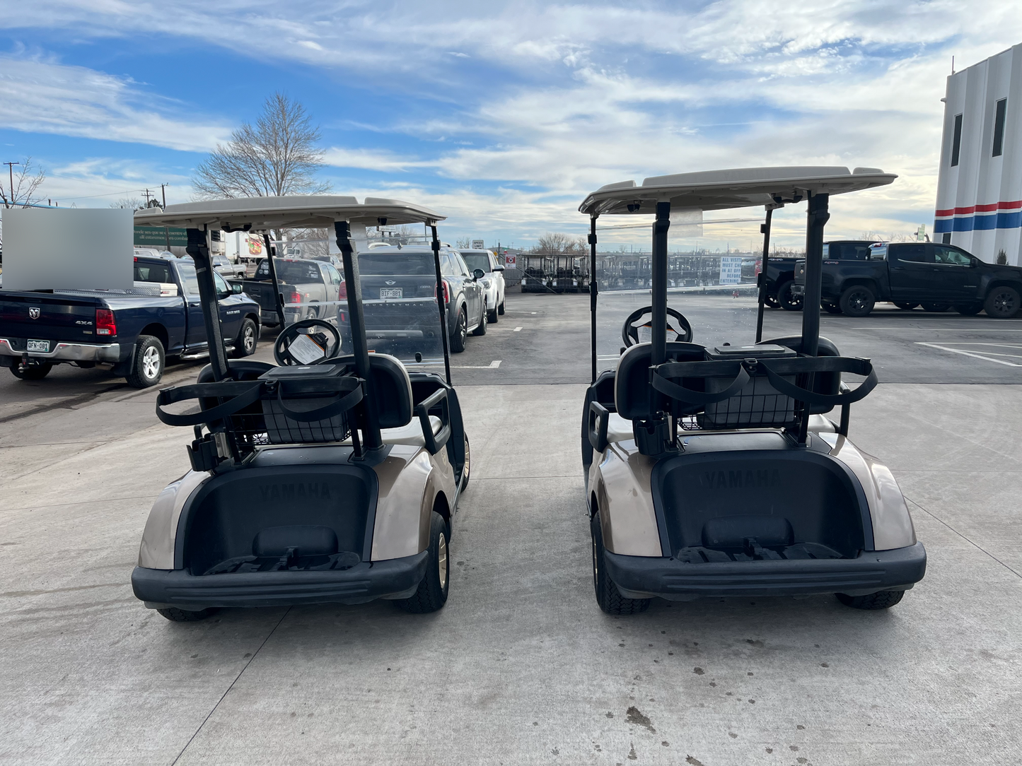 2020 Yamaha QuieTech Gas EFI