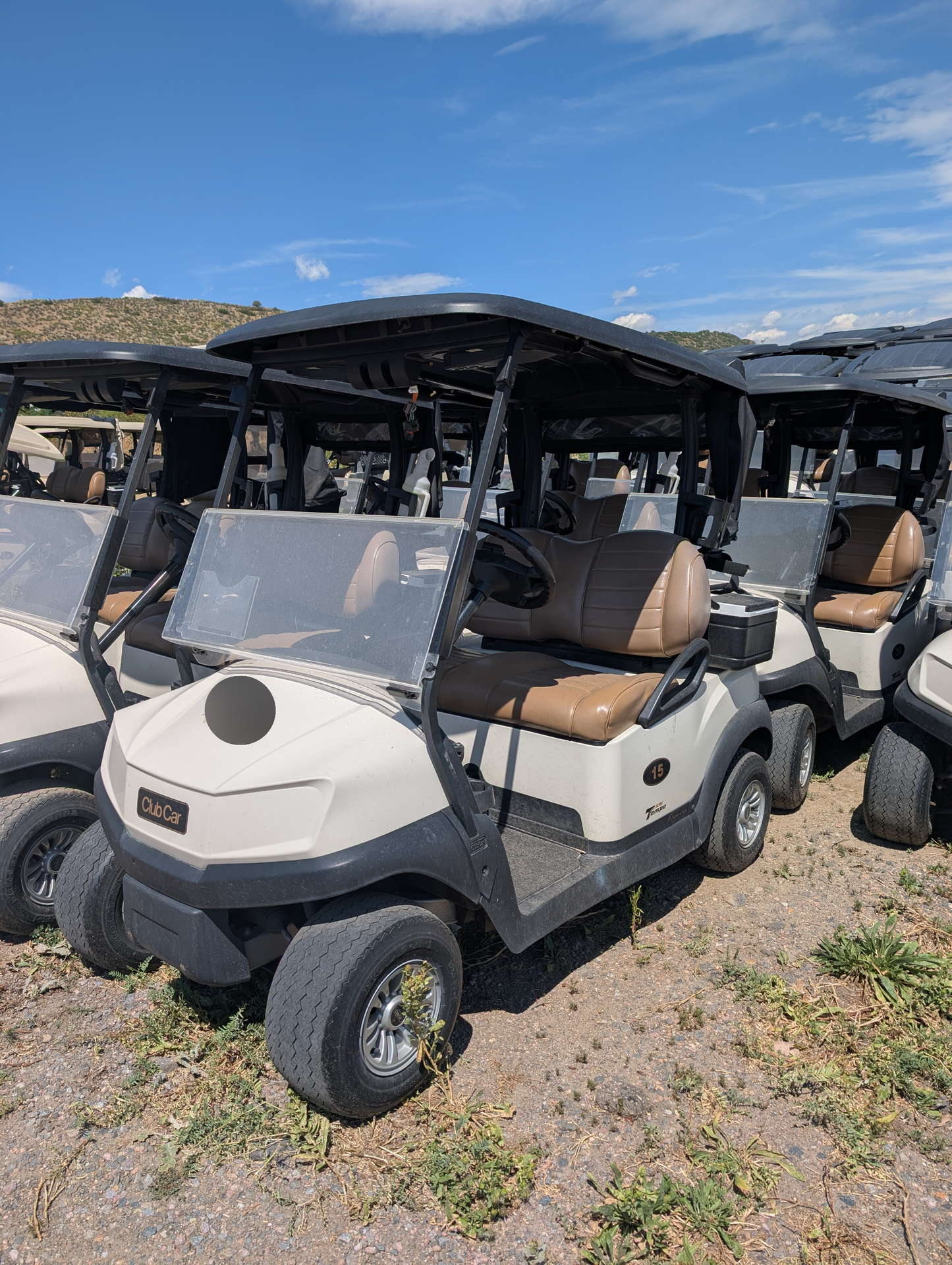 2020 Club Car Tempo Lithium