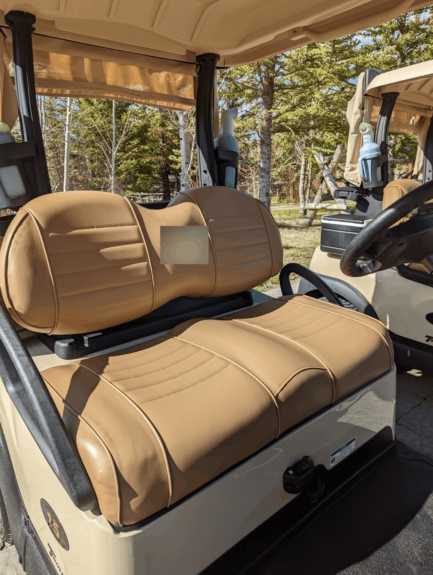 2021 Club Car Tempo Electric