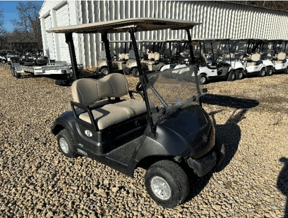 2019 Yamaha Drive 2 Electric AC