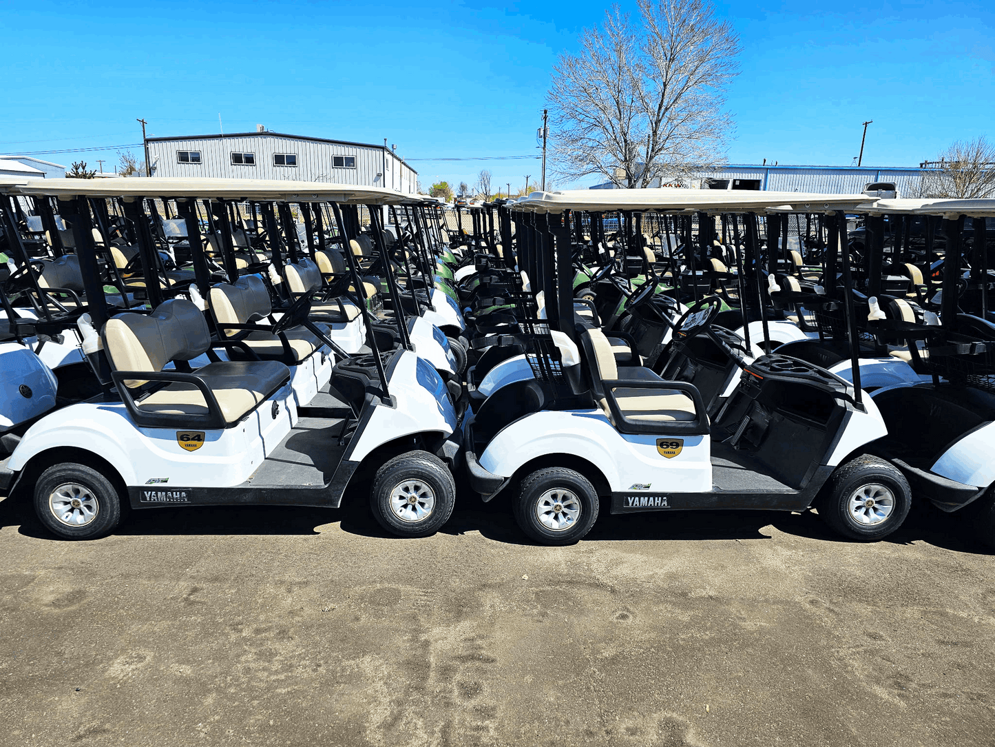 2021 Yamaha Drive Electric AC