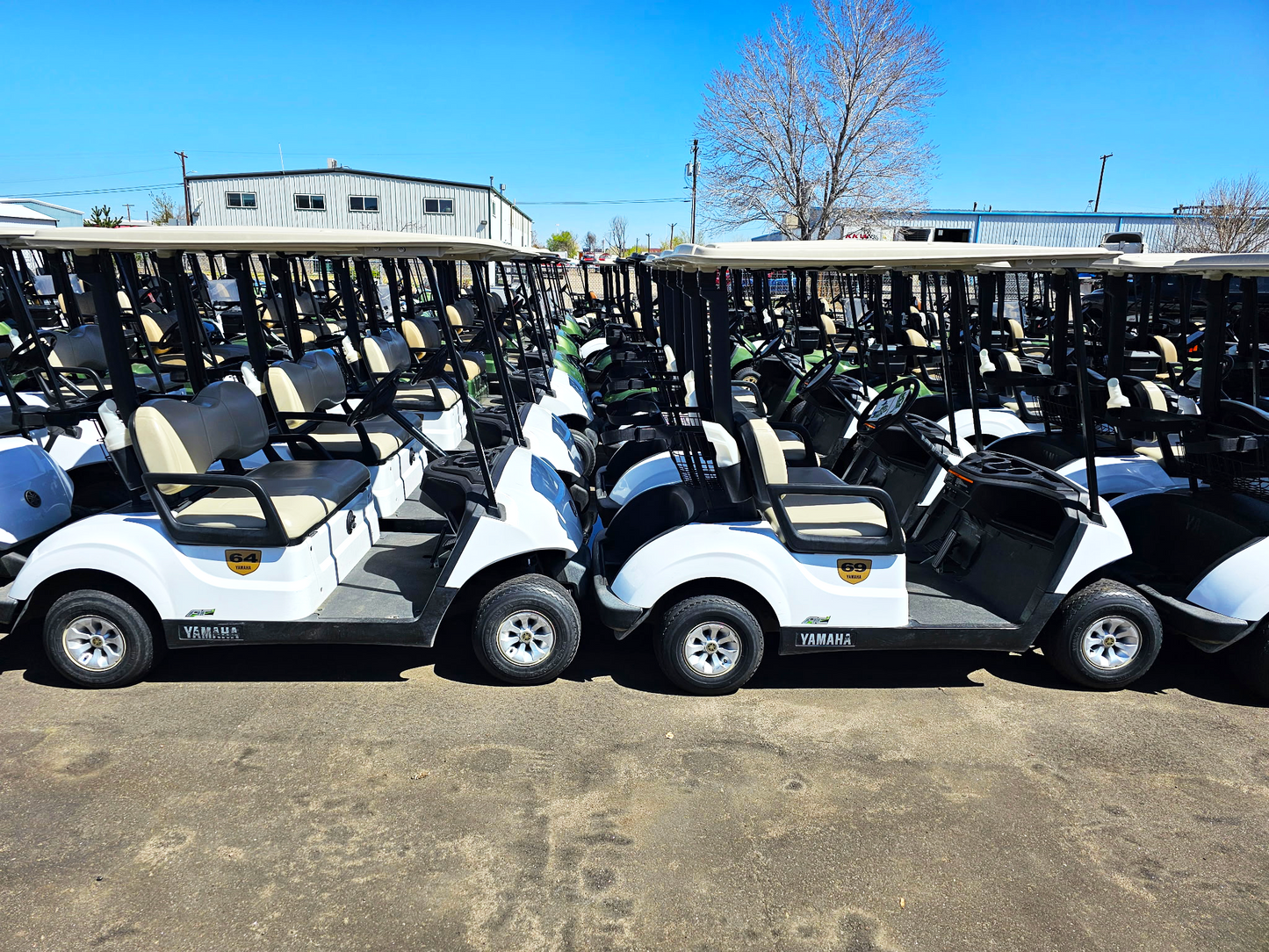 2021 Yamaha Drive Electric AC