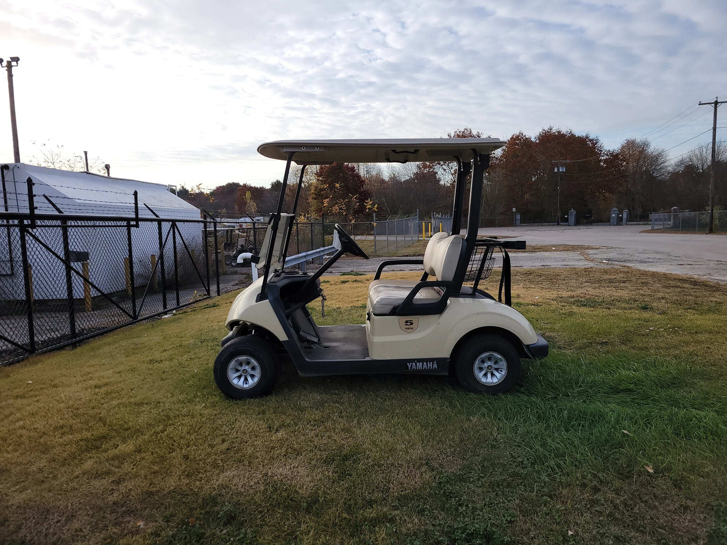 2019 Yamaha Drive 2 Electric