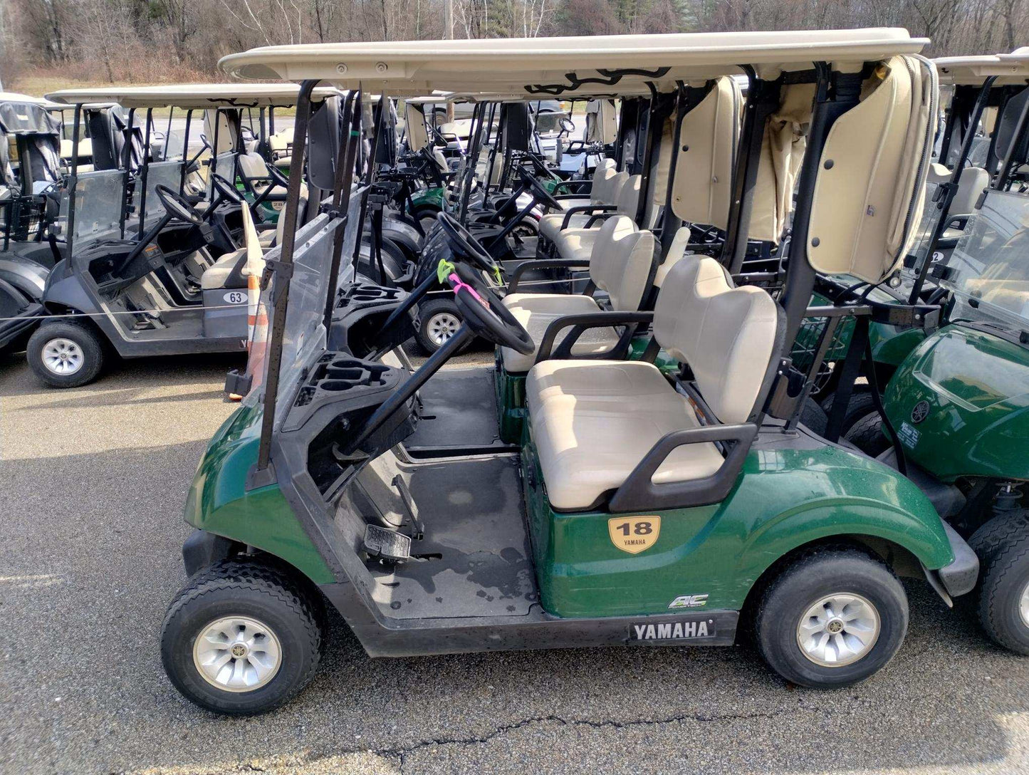 2020 Yamaha Drive 2 Electric AC