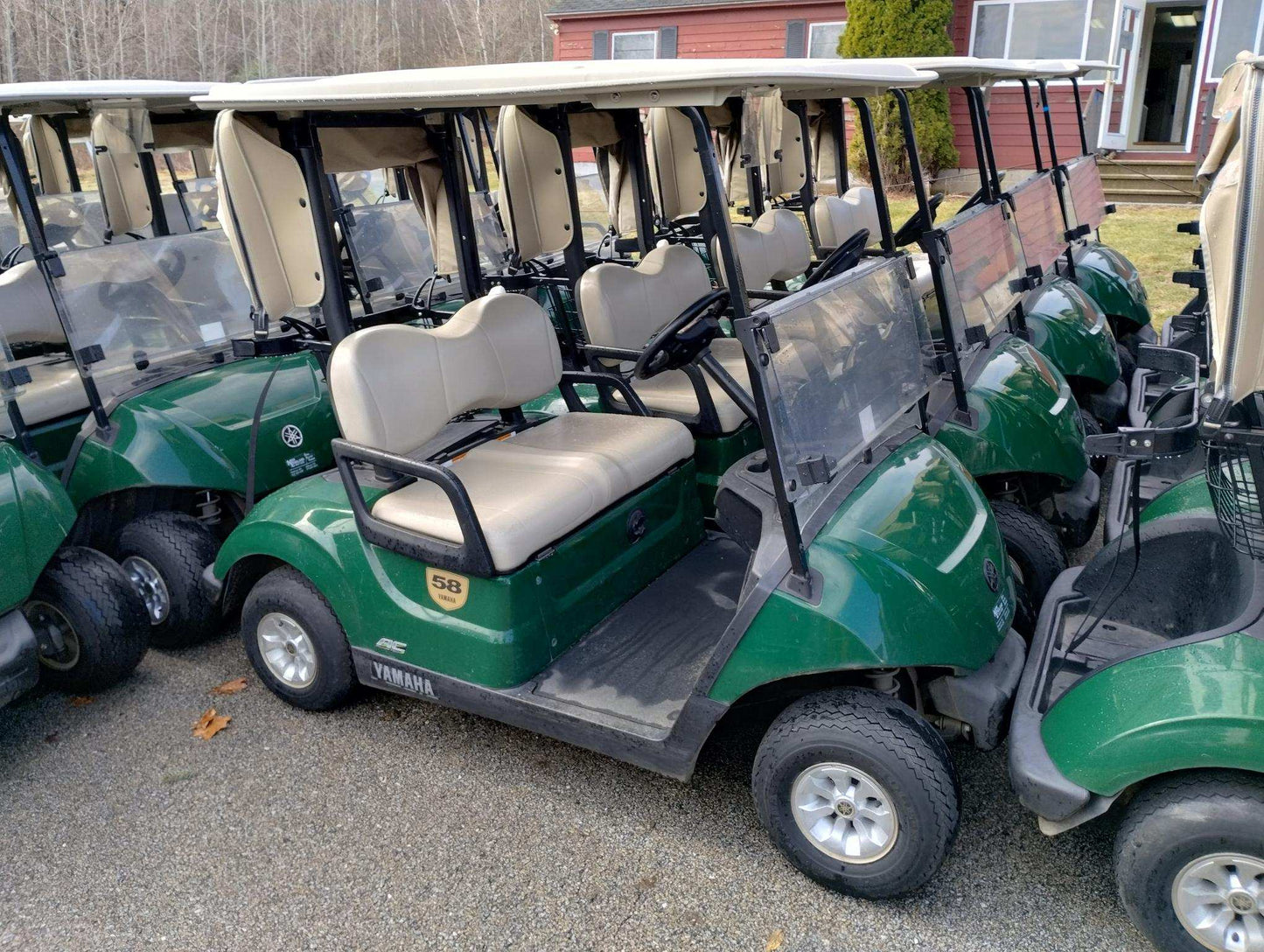 2020 Yamaha Drive 2 Electric AC
