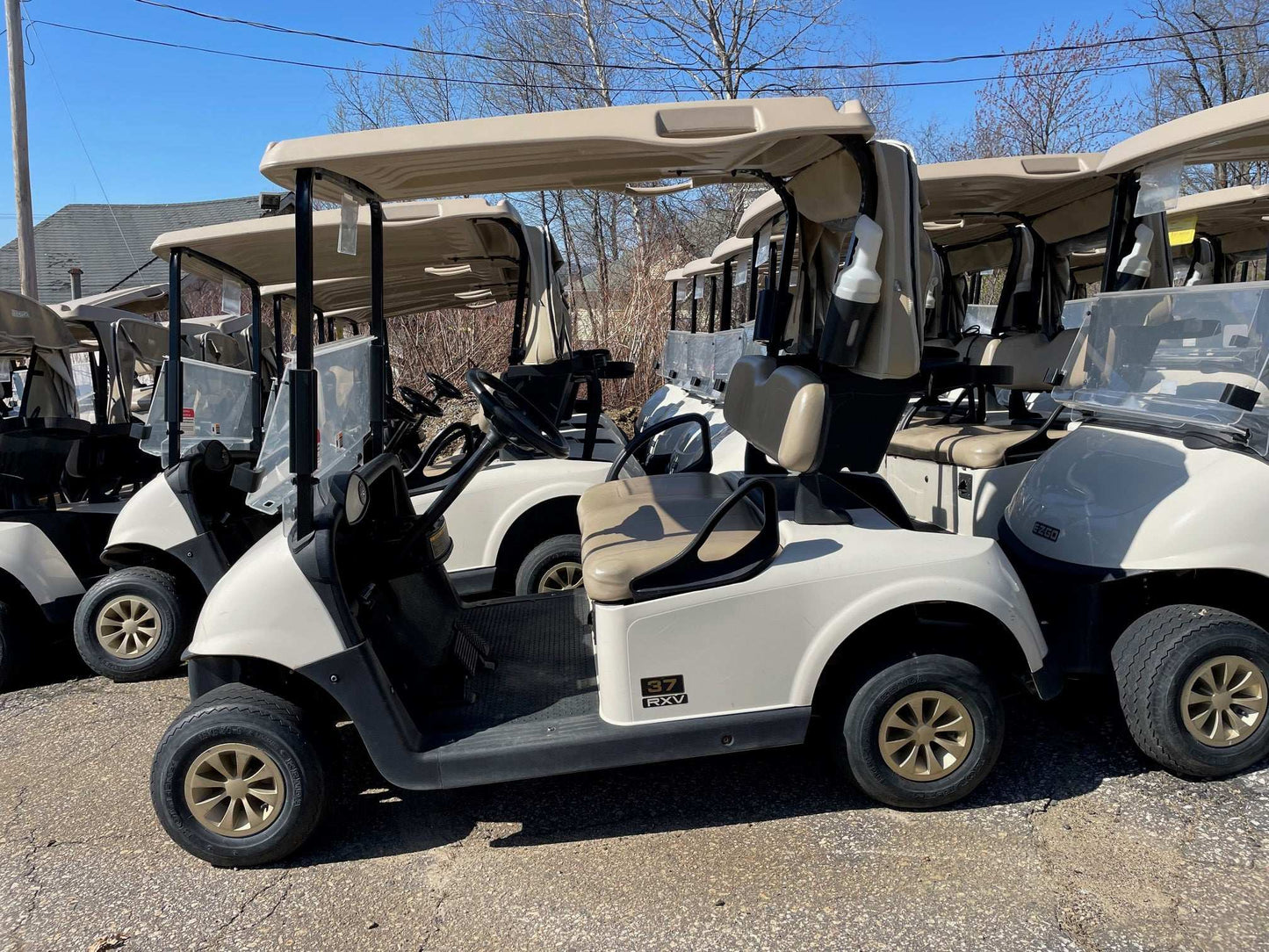 2020 EZGO RXV Electric