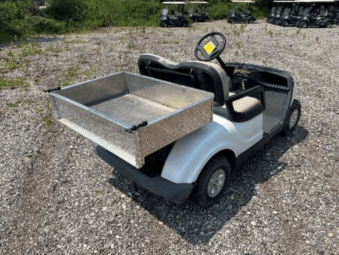 2009 Yamaha Drive 2 Utility Electric