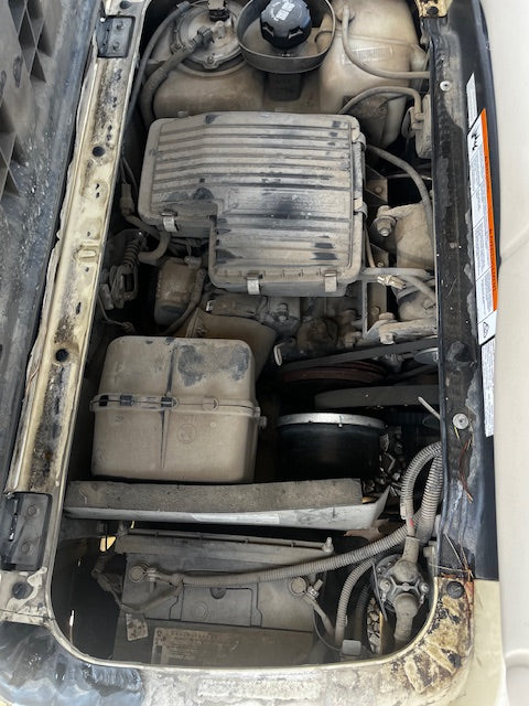 2019 Yamaha QuieTech Gas EFI