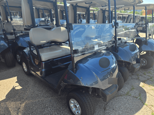2021 Yamaha Drive 2 Electric AC