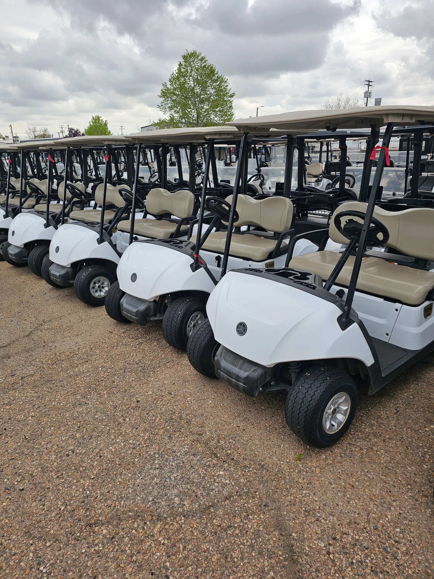 2019 Yamaha QuieTech Gas EFI
