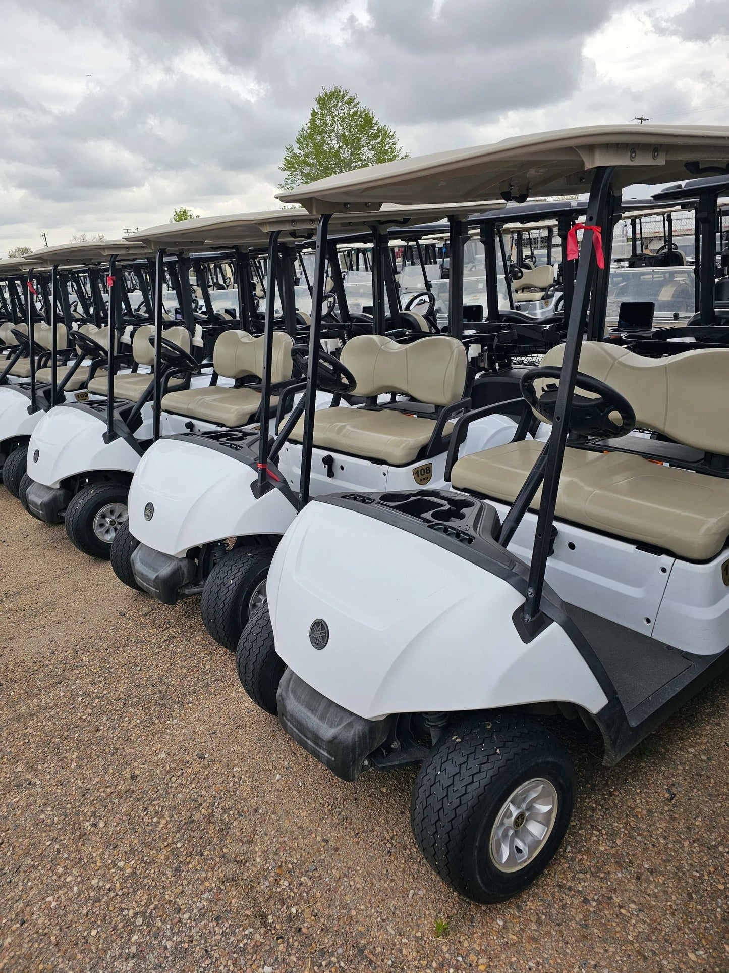 2019 Yamaha QuieTech Gas EFI