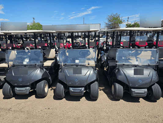 2019 Yamaha QuieTech Gas EFI