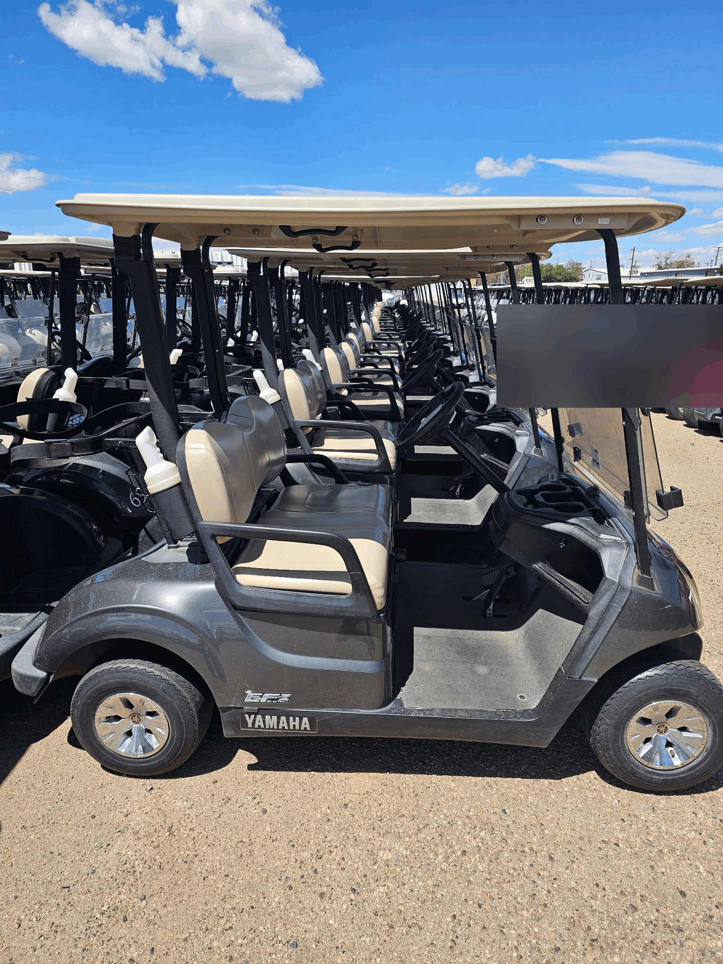 2019 Yamaha QuieTech Gas EFI