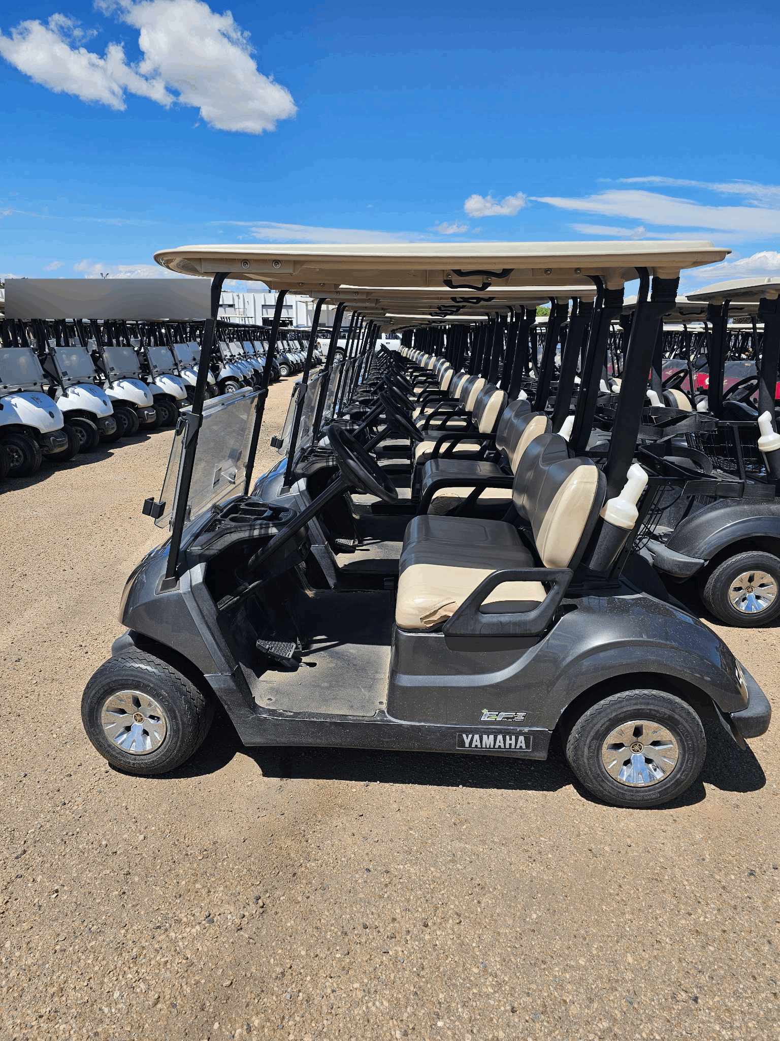 2019 Yamaha QuieTech Gas EFI