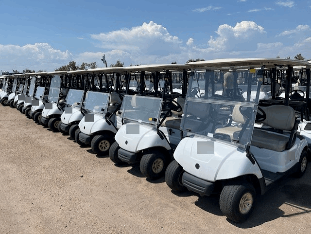 2016 Yamaha Drive 2 Gas