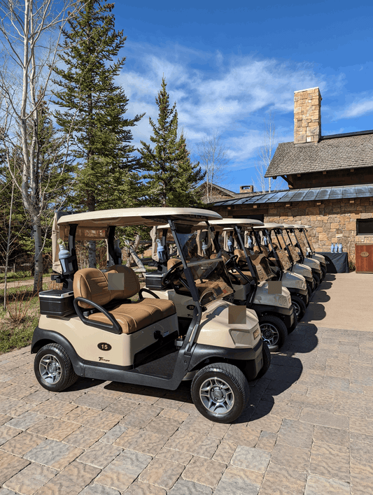 2021 Club Car Tempo Electric