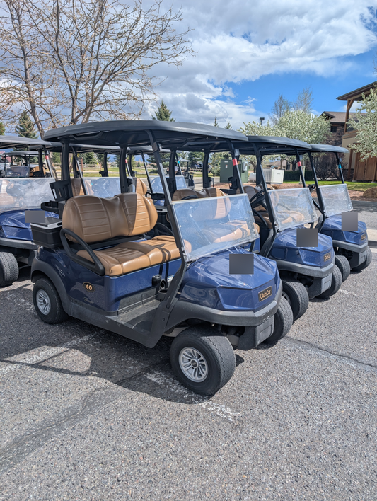2022 Club Car Tempo Electric