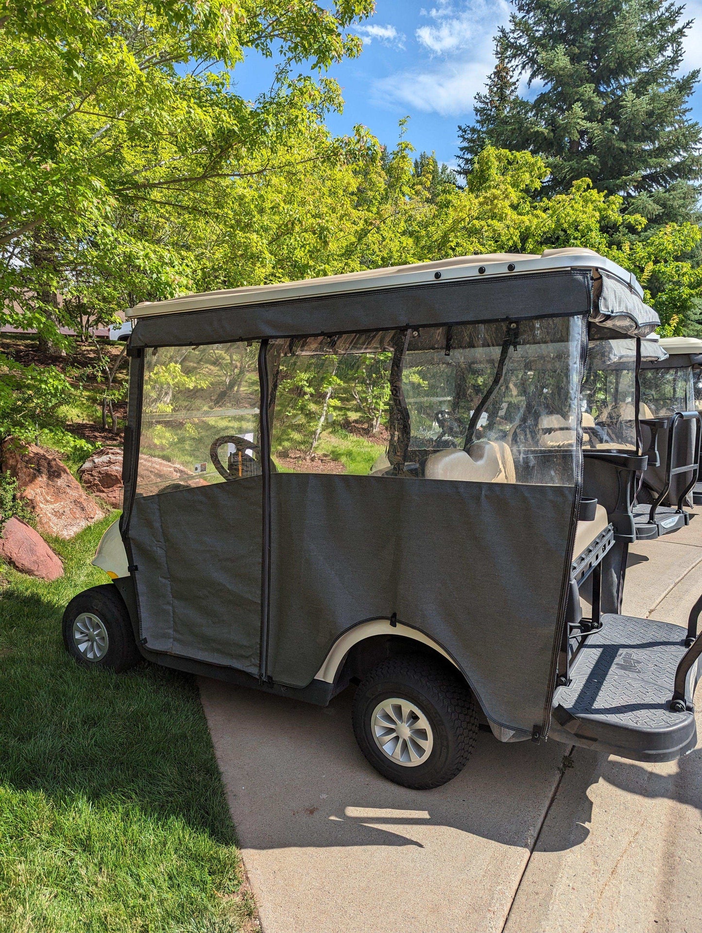 2019 EZGO RXV Freedom Electric