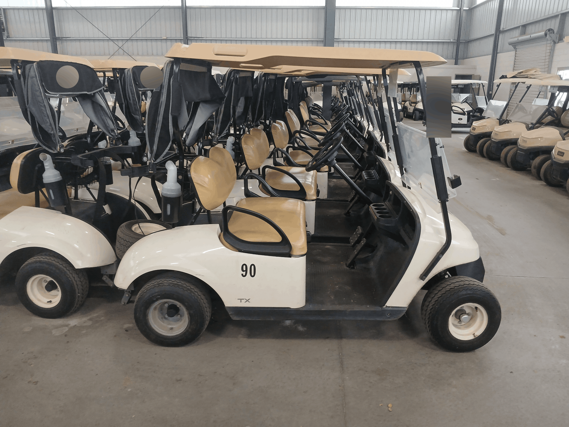 2022 EZGO TXT Electric.