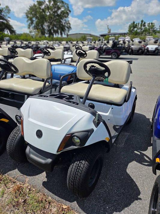 2024 Yamaha Drive 2 Electric AC 1