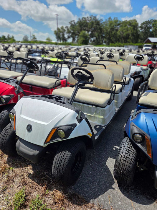 2022 Yamaha Concierge Electric AC