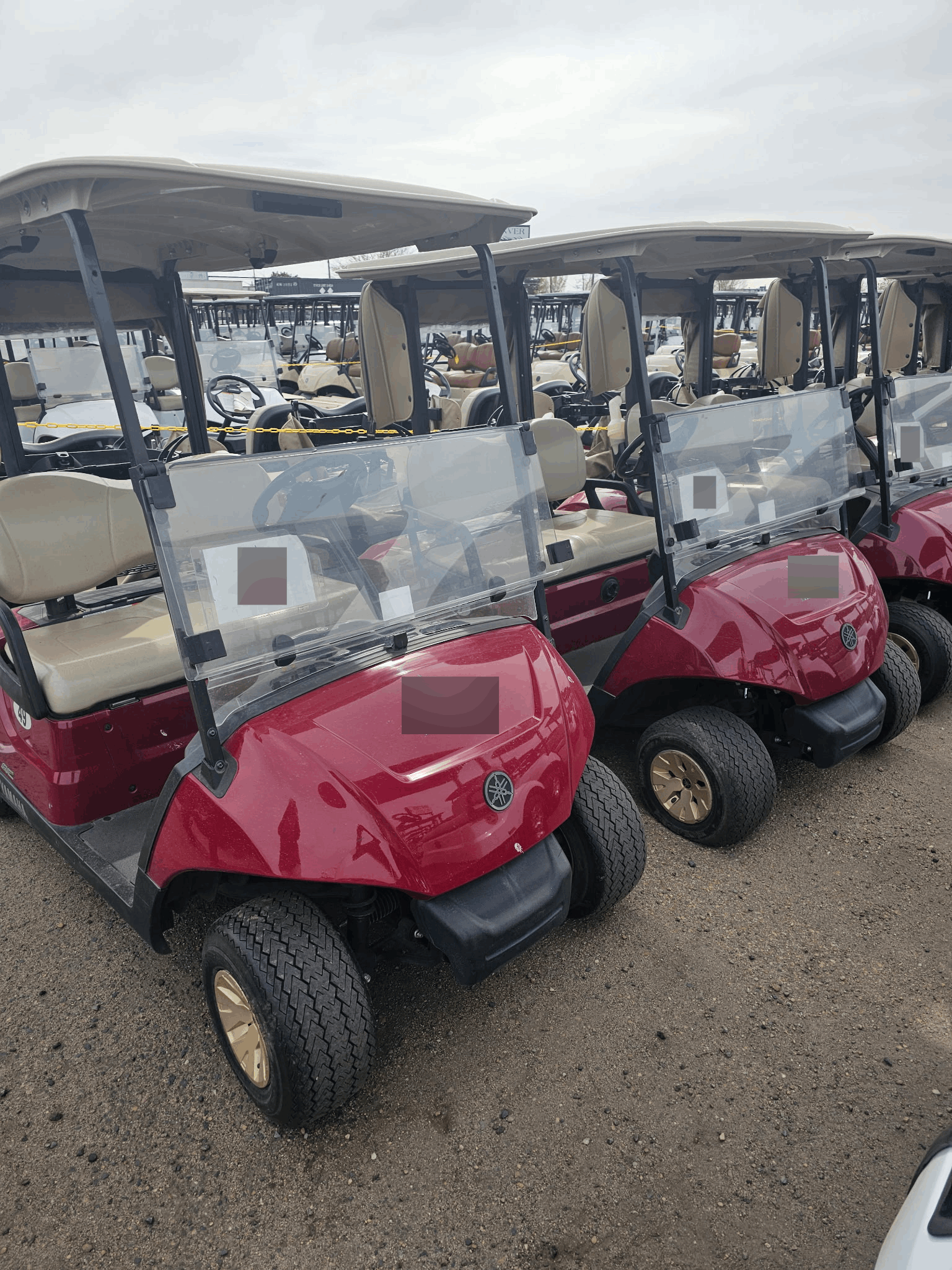 2021 Yamaha Drive Electric AC