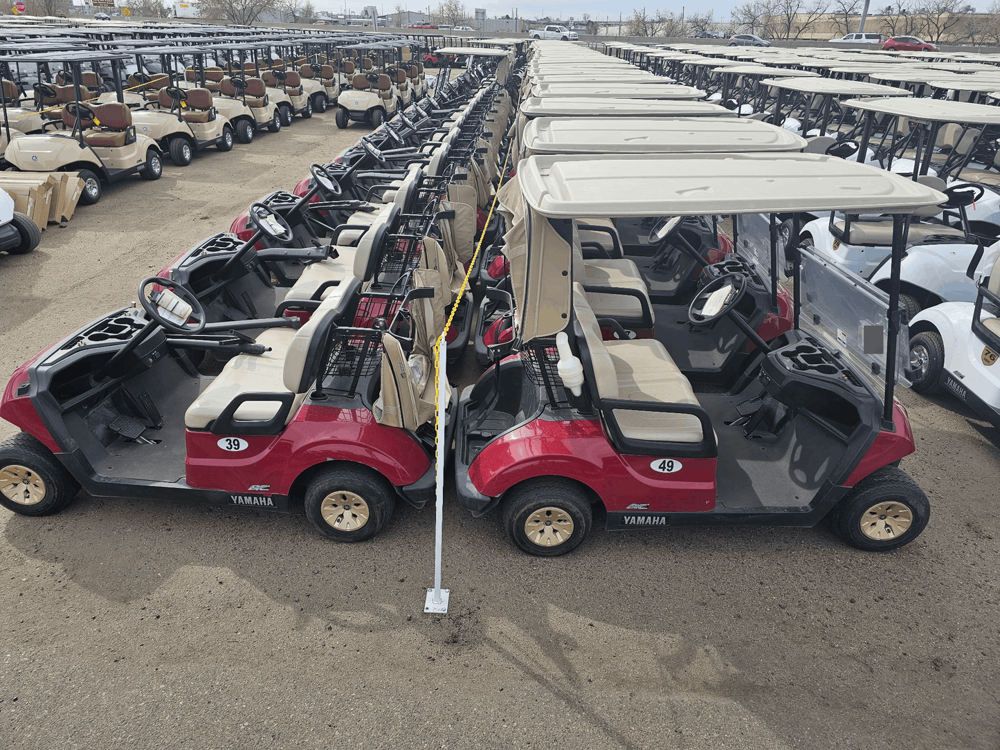 2021 Yamaha Drive Electric AC