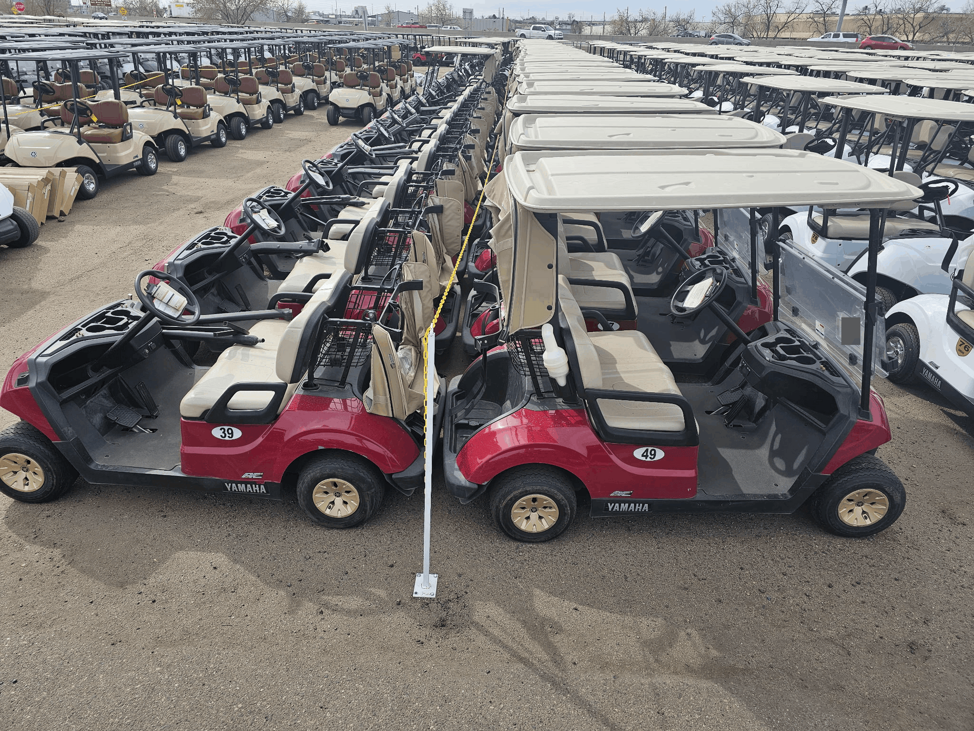 2021 Yamaha Drive Electric AC