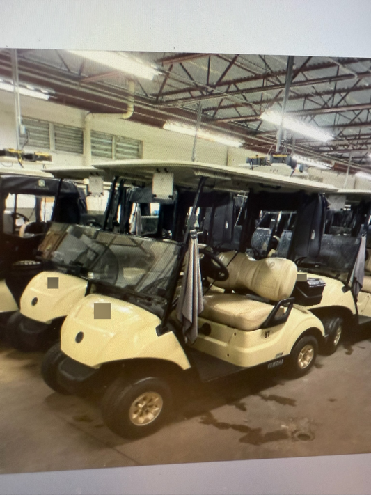 2022 Yamaha Drive 2 Electric AC