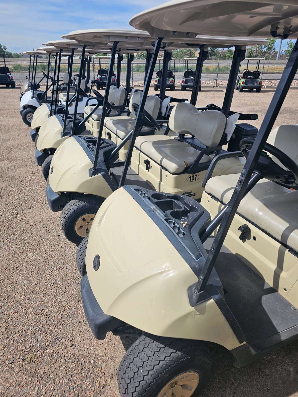 2021 Yamaha QuieTech Gas EFI