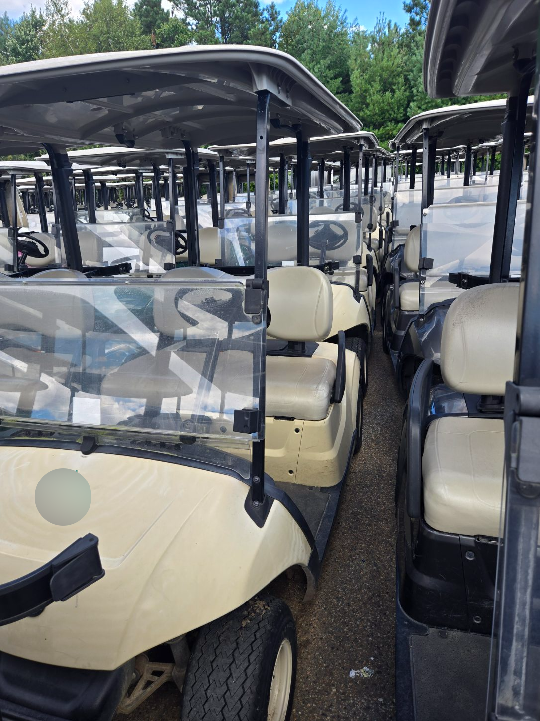 2017 Yamaha QuieTech Gas EFI