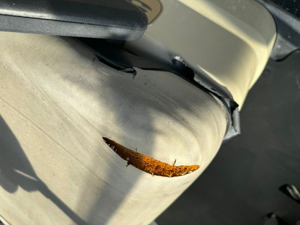 2019 Yamaha QuieTech Gas EFI