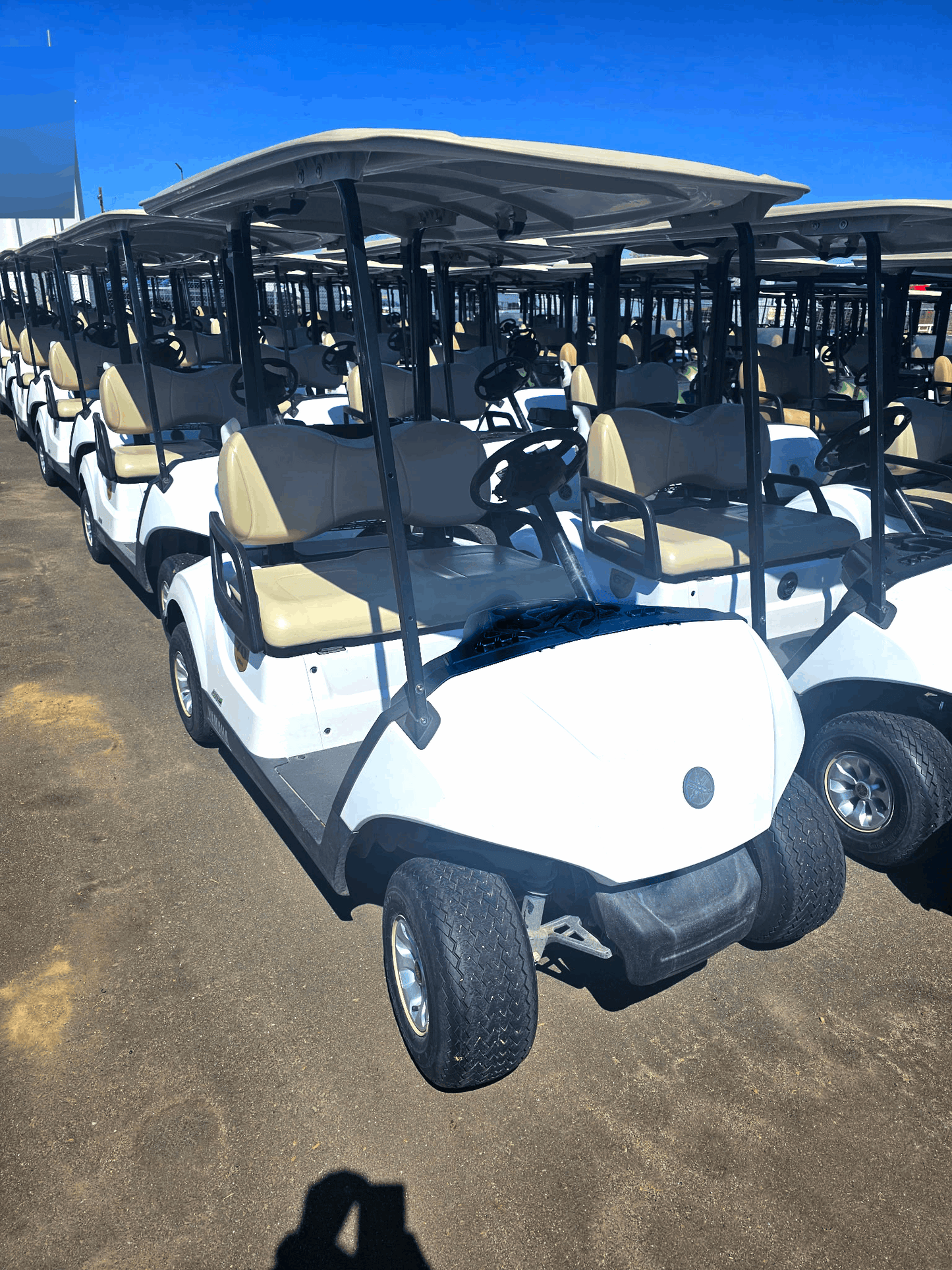 2021 Yamaha Drive Electric AC