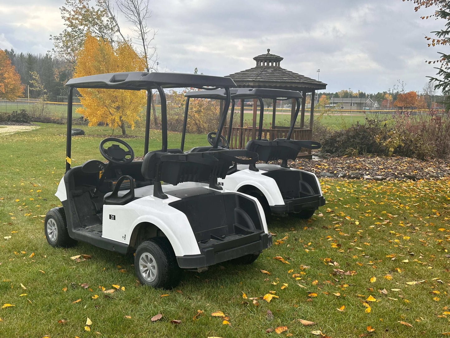 2023 EZGO RXV Gas EFI
