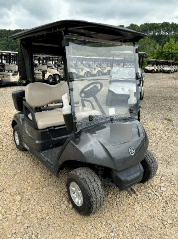 2019 Yamaha Drive 2 Electric