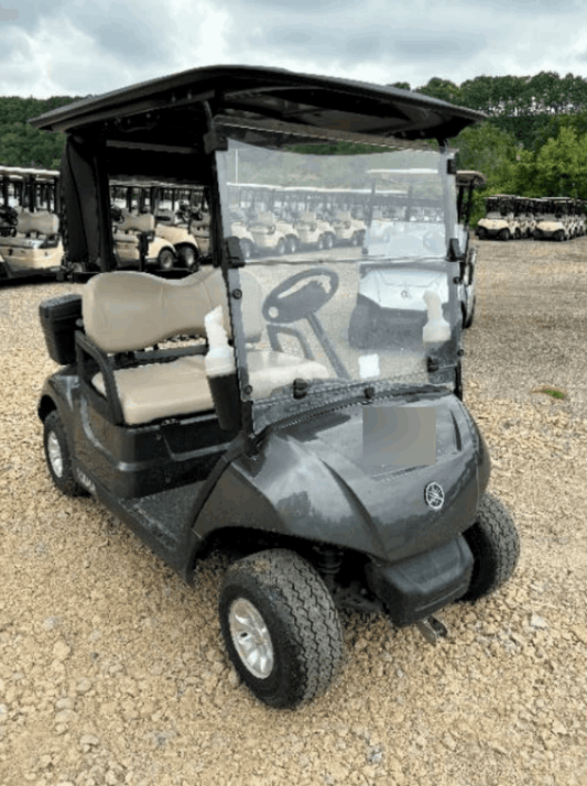 2019 Yamaha Drive 2 Electric