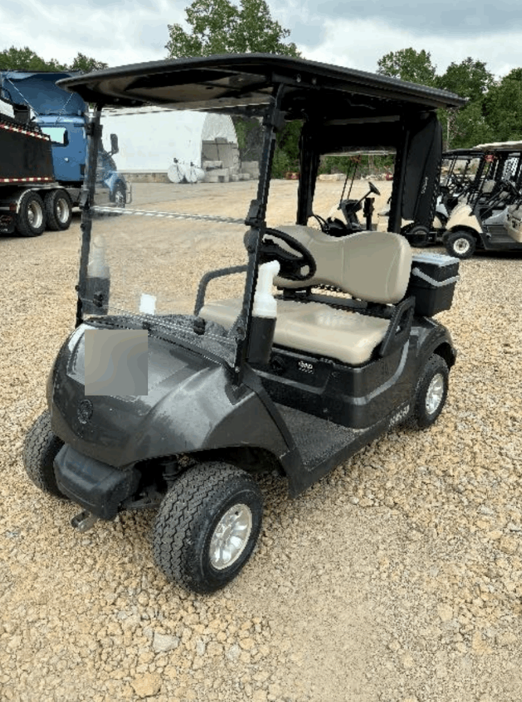 2019 Yamaha Drive 2 Electric