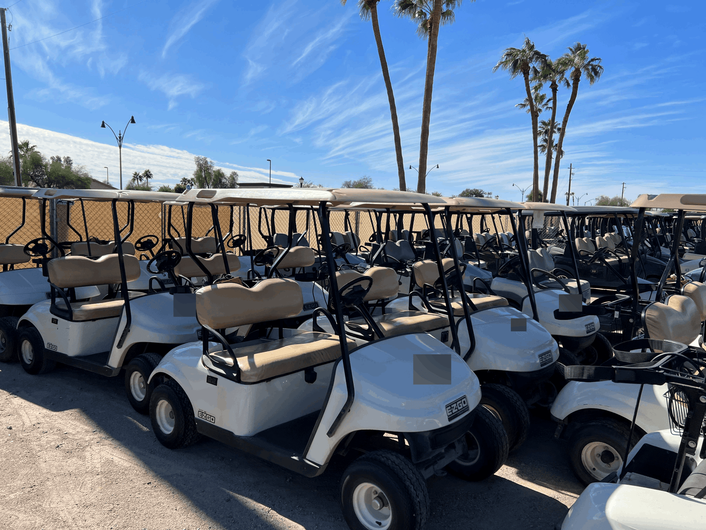 2010 EZGO TXT Electric