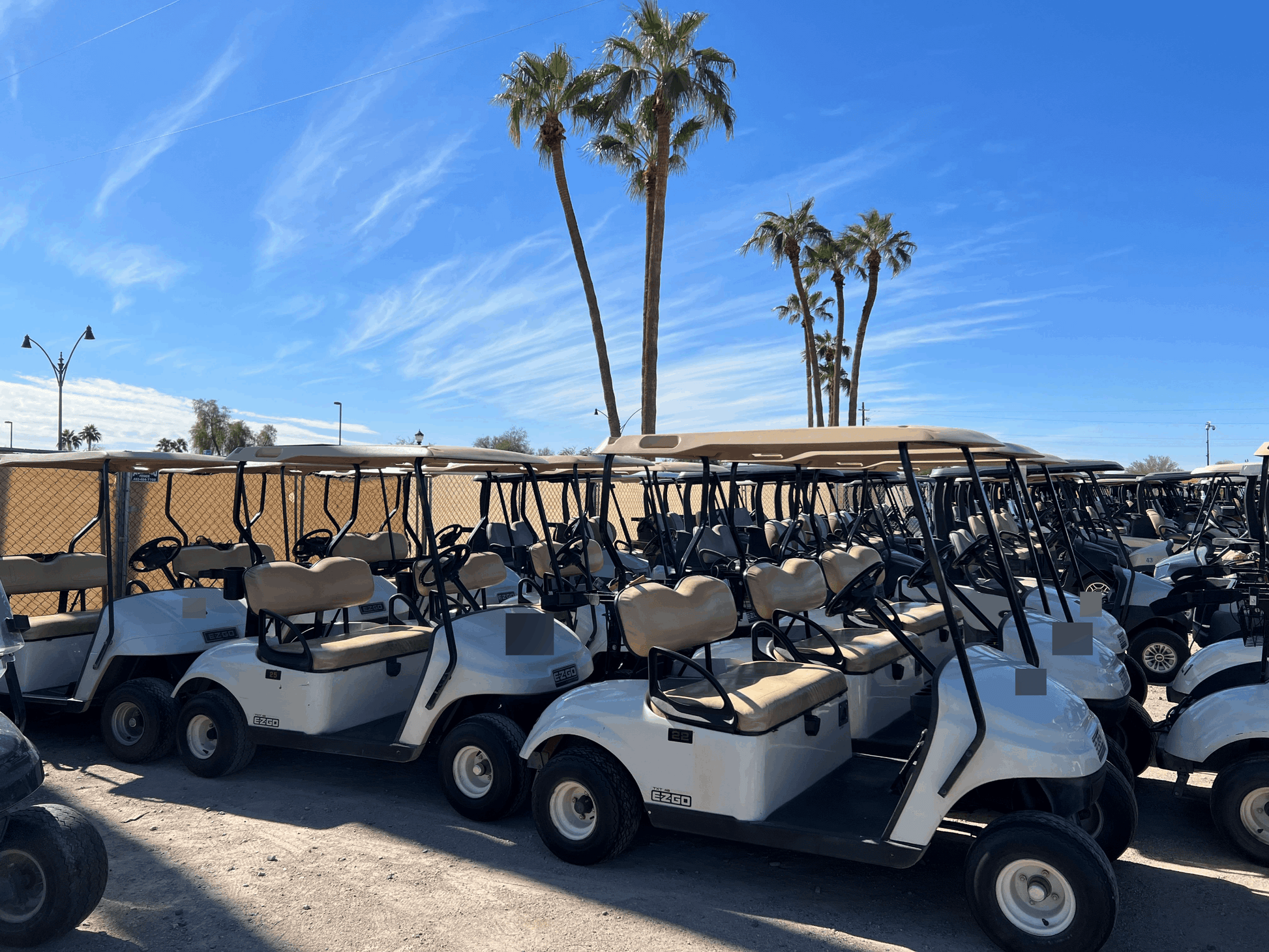 2010 EZGO TXT Electric