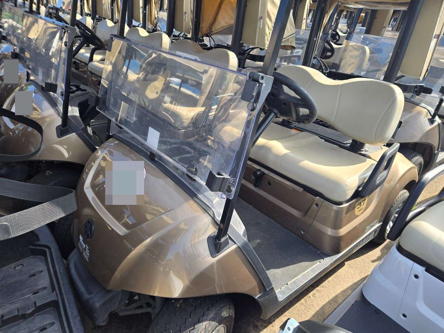 2022 Yamaha QuieTech Gas EFI