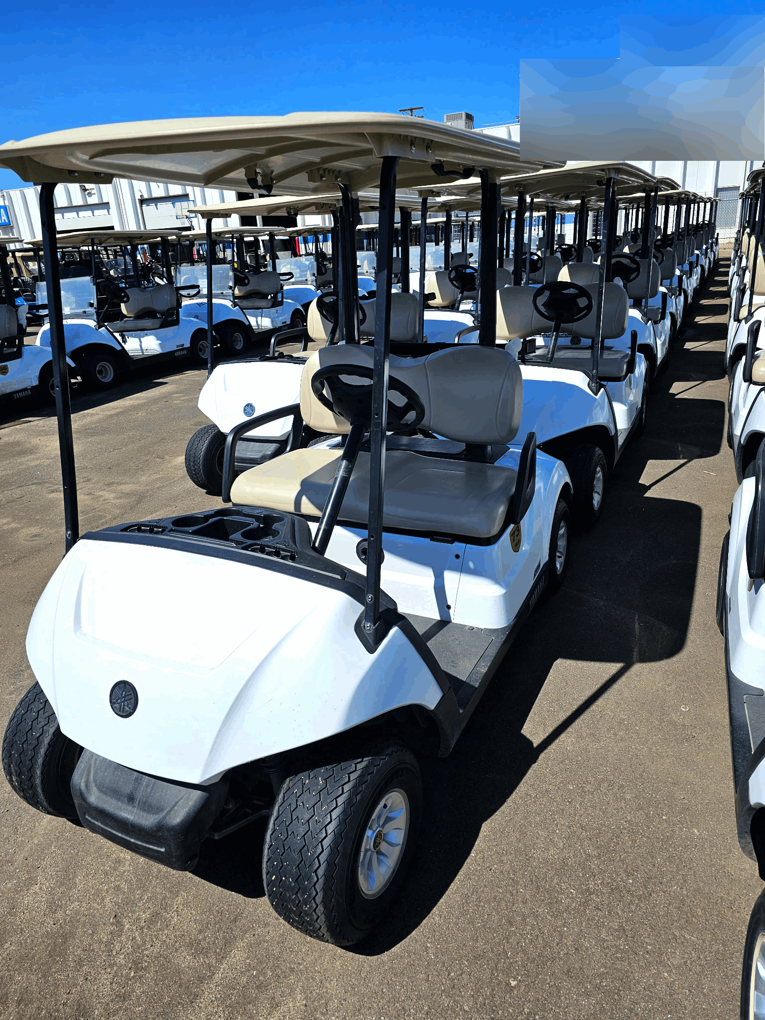 2021 Yamaha Drive Electric AC