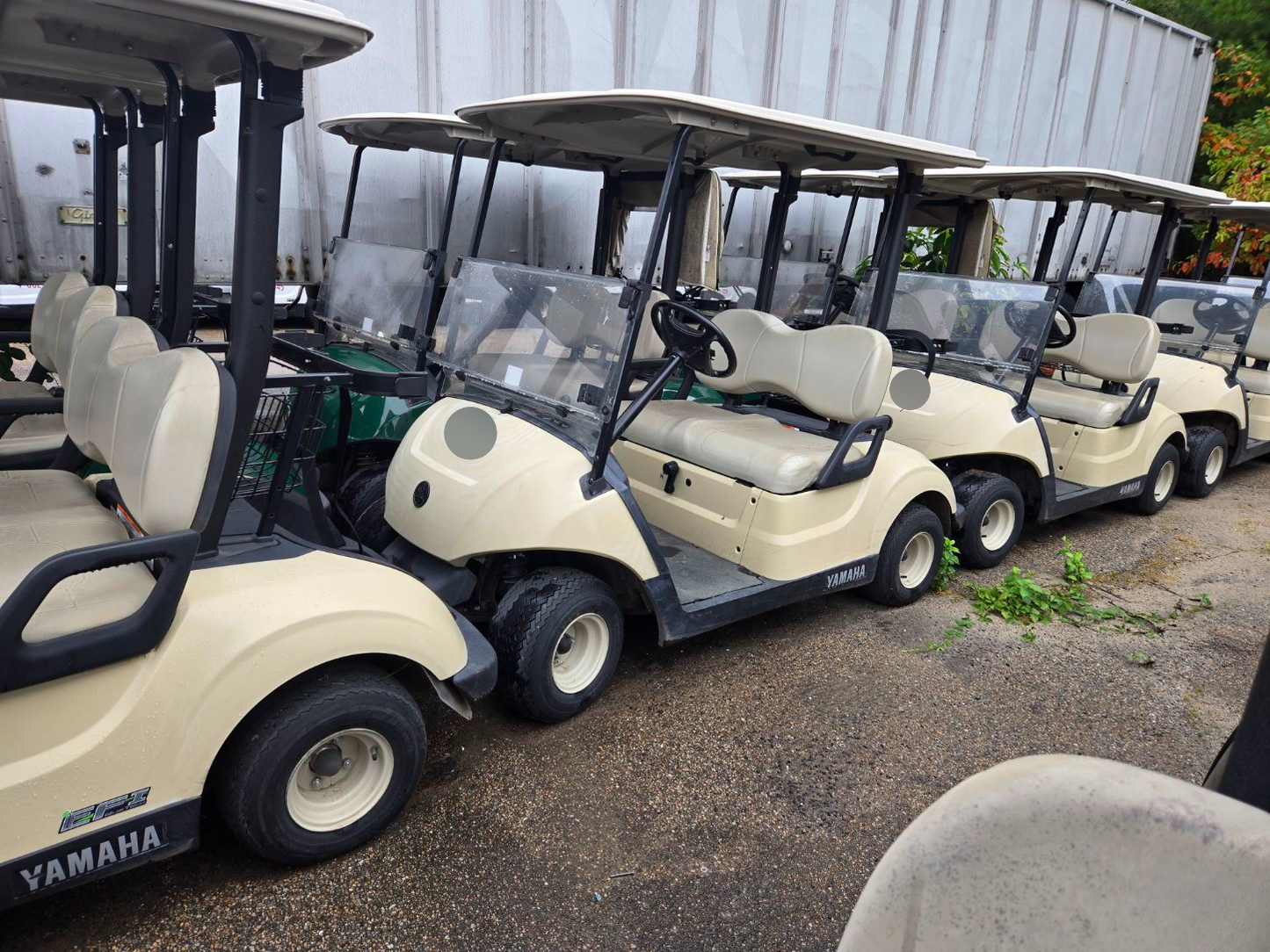 2017 Yamaha QuieTech Gas EFI