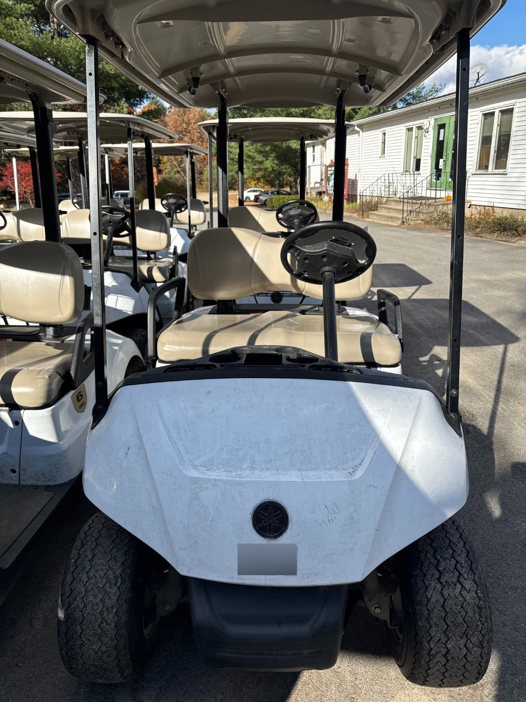 2021 Yamaha Drive 2 Gas EFI