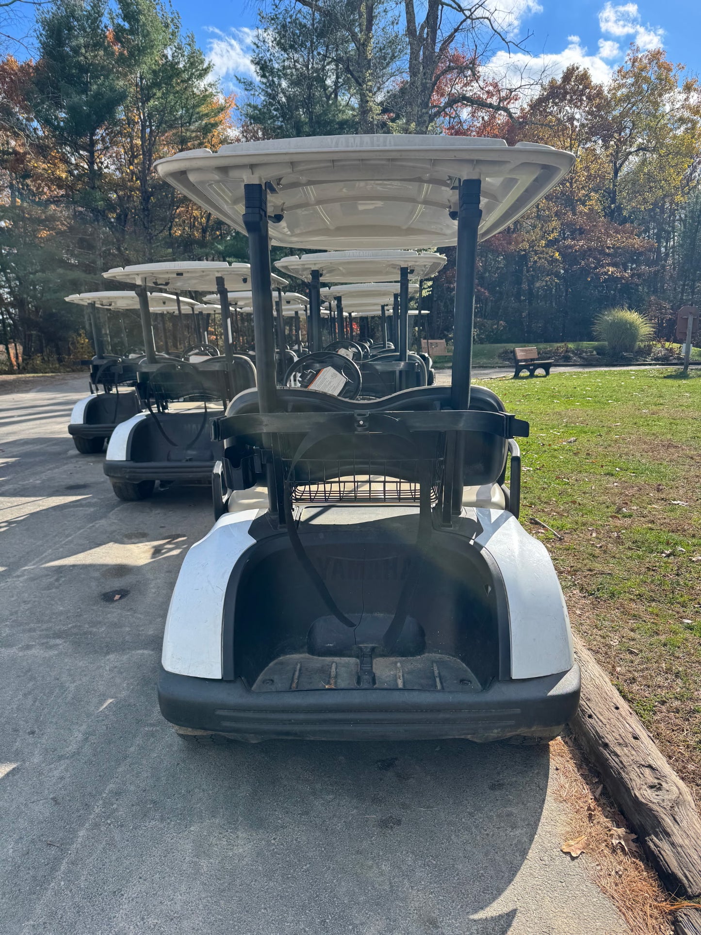 2021 Yamaha Drive 2 Gas EFI