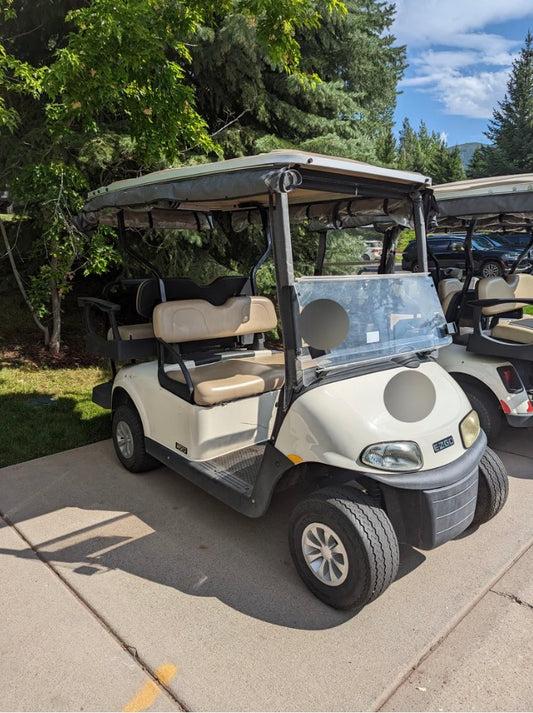 2019 EZGO RXV Freedom Electric