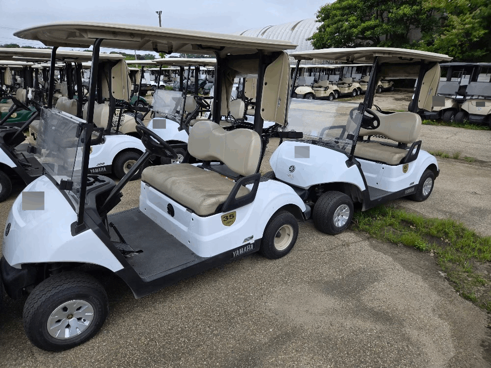 2021 Yamaha Drive 2 Electric