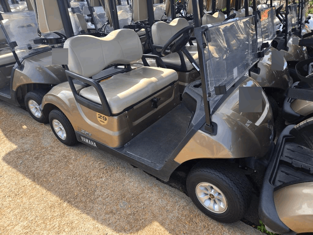 2022 Yamaha QuieTech Gas EFI
