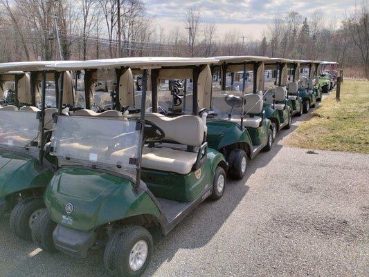 2020 Yamaha Drive 2 Electric AC