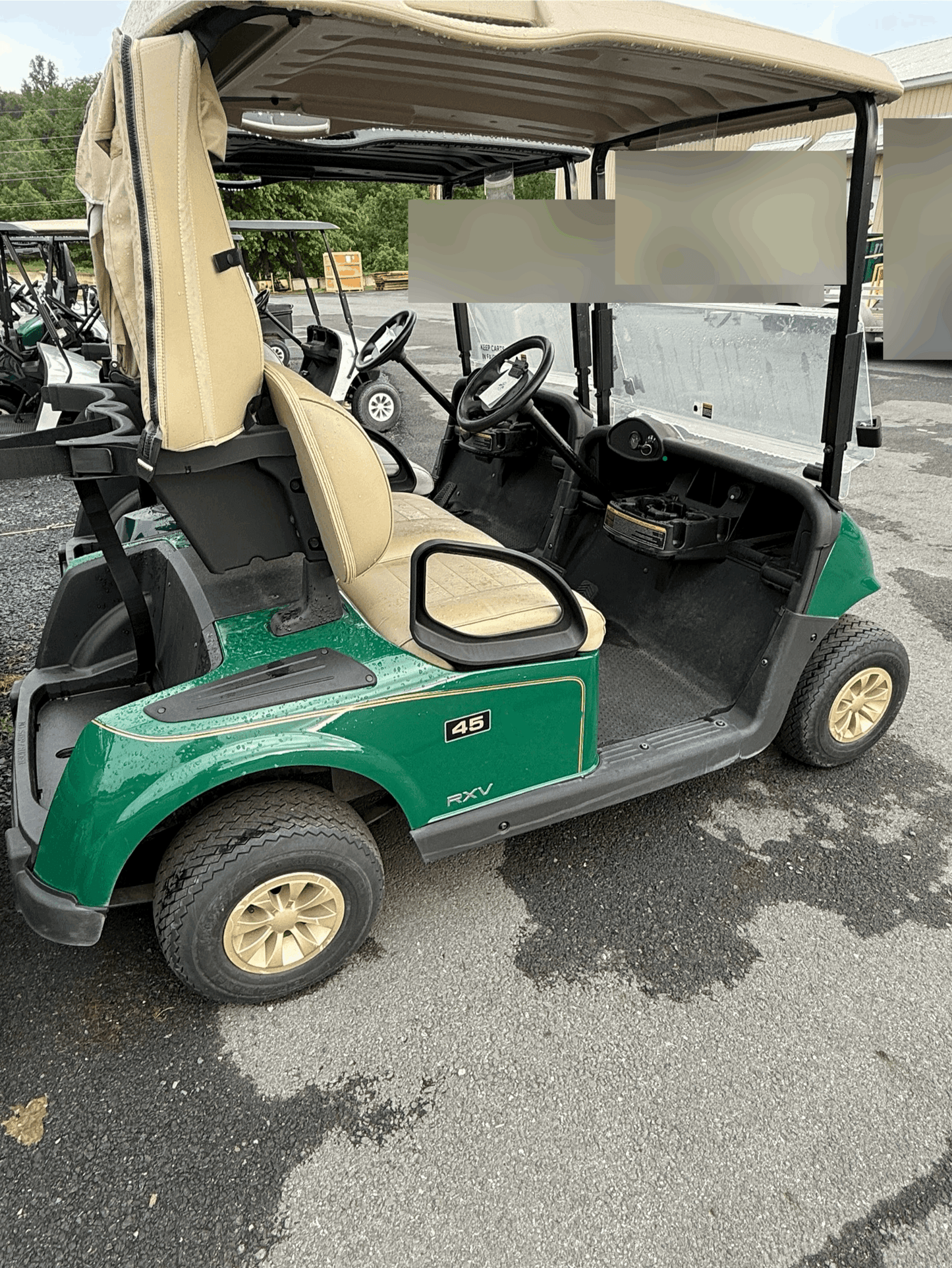 2020 EZGO RXV Electric