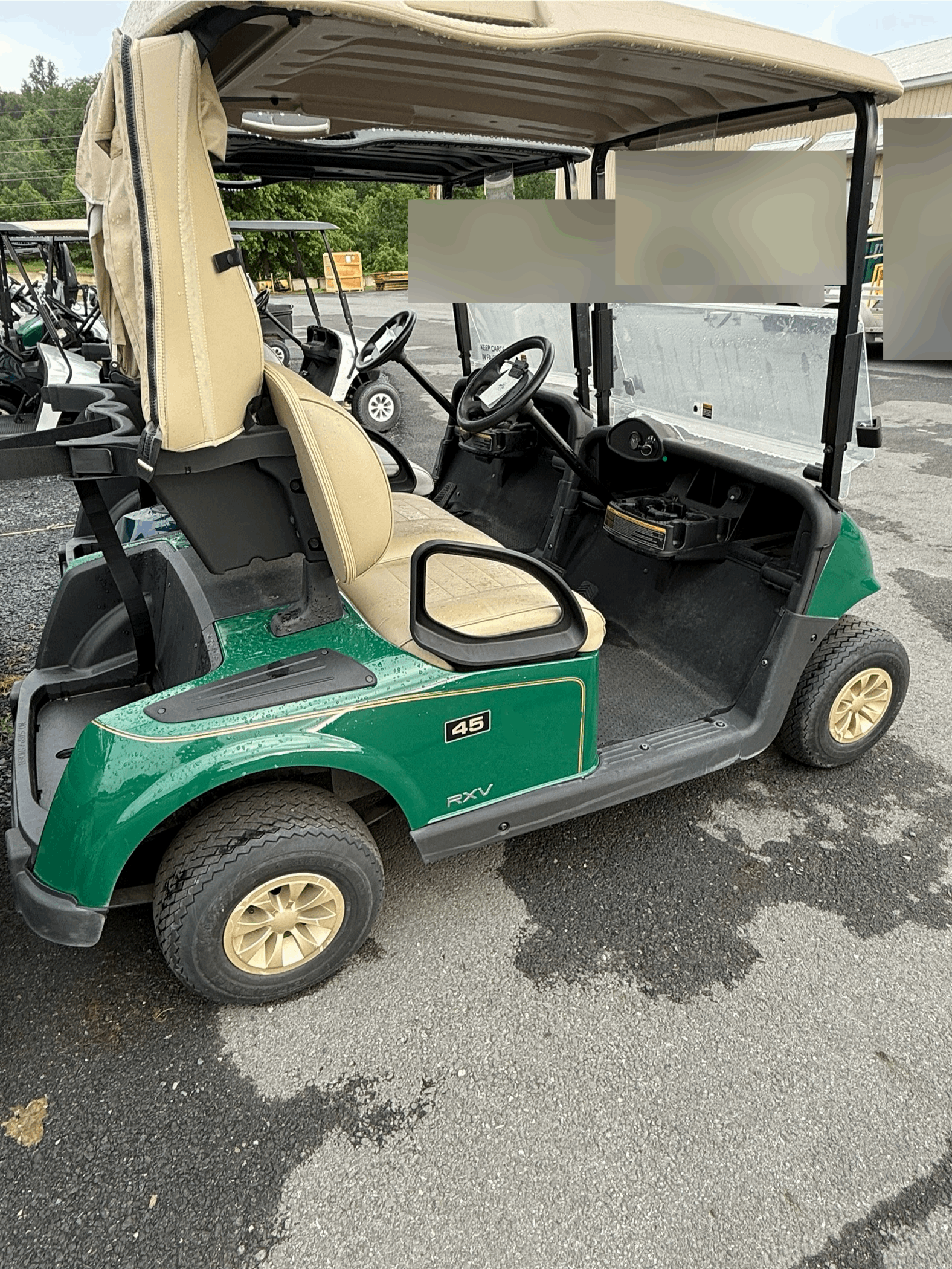 2020 EZGO RXV Electric